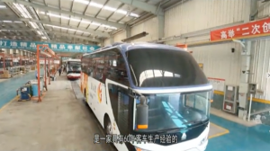 <strong>ɽ������˾��ִ�����ֱ���</strong>